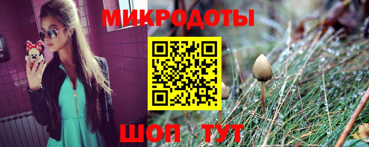 Галлюциногенные грибы Psilocybe  Вход с VPN  Сафоново  Псилоцибиновые грибы Cubensis 